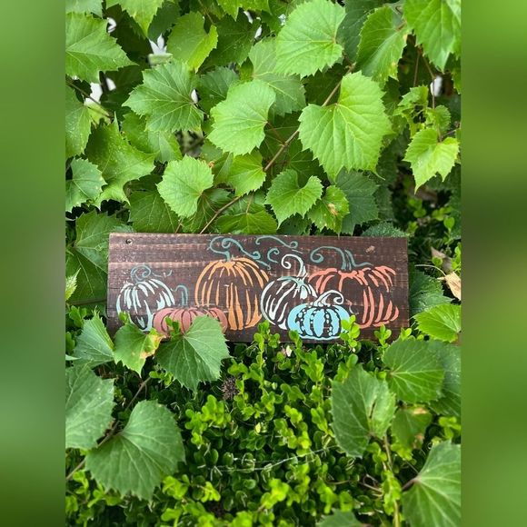 Rustic Pumpkins painted on reclaimed wood - Picture 11 of 16
